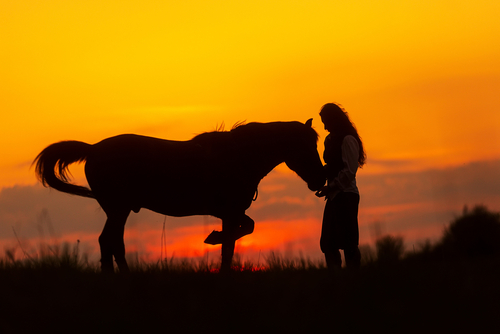 horse silhouette​