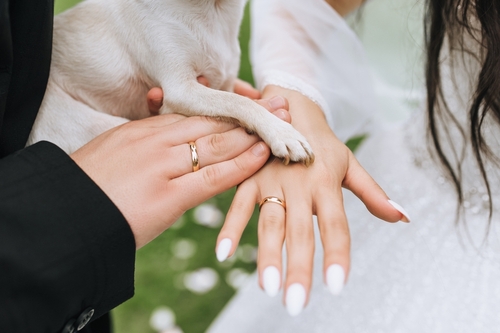 pet photography ideas​